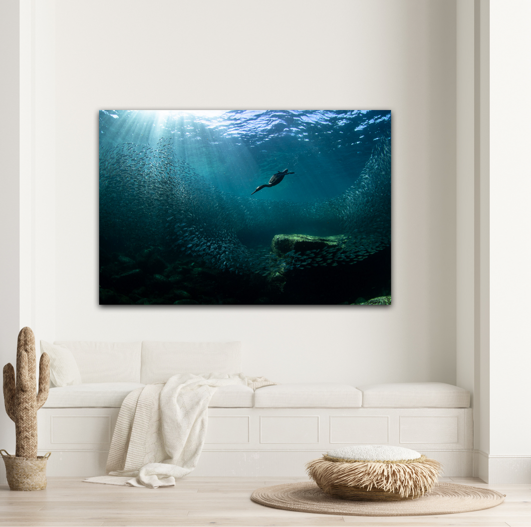 Cazadora Del Mar — Photograph on Metal
