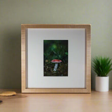 Load image into Gallery viewer, Toadstool — Agave Art Print