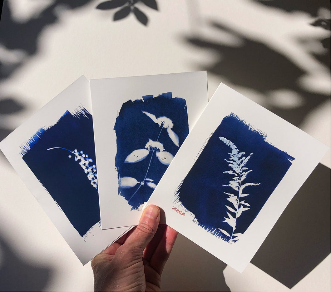 Set of 9 Wildflower Notecards
